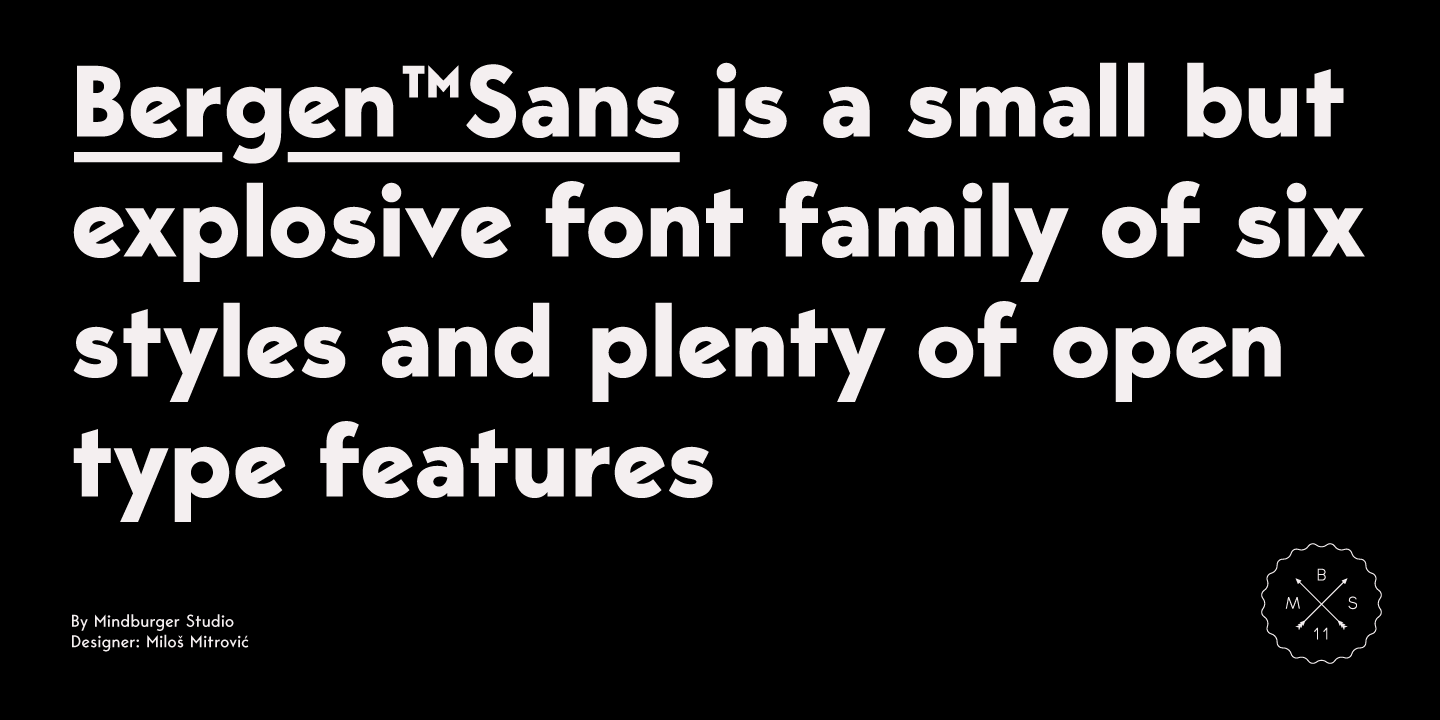Font Bergen Sans