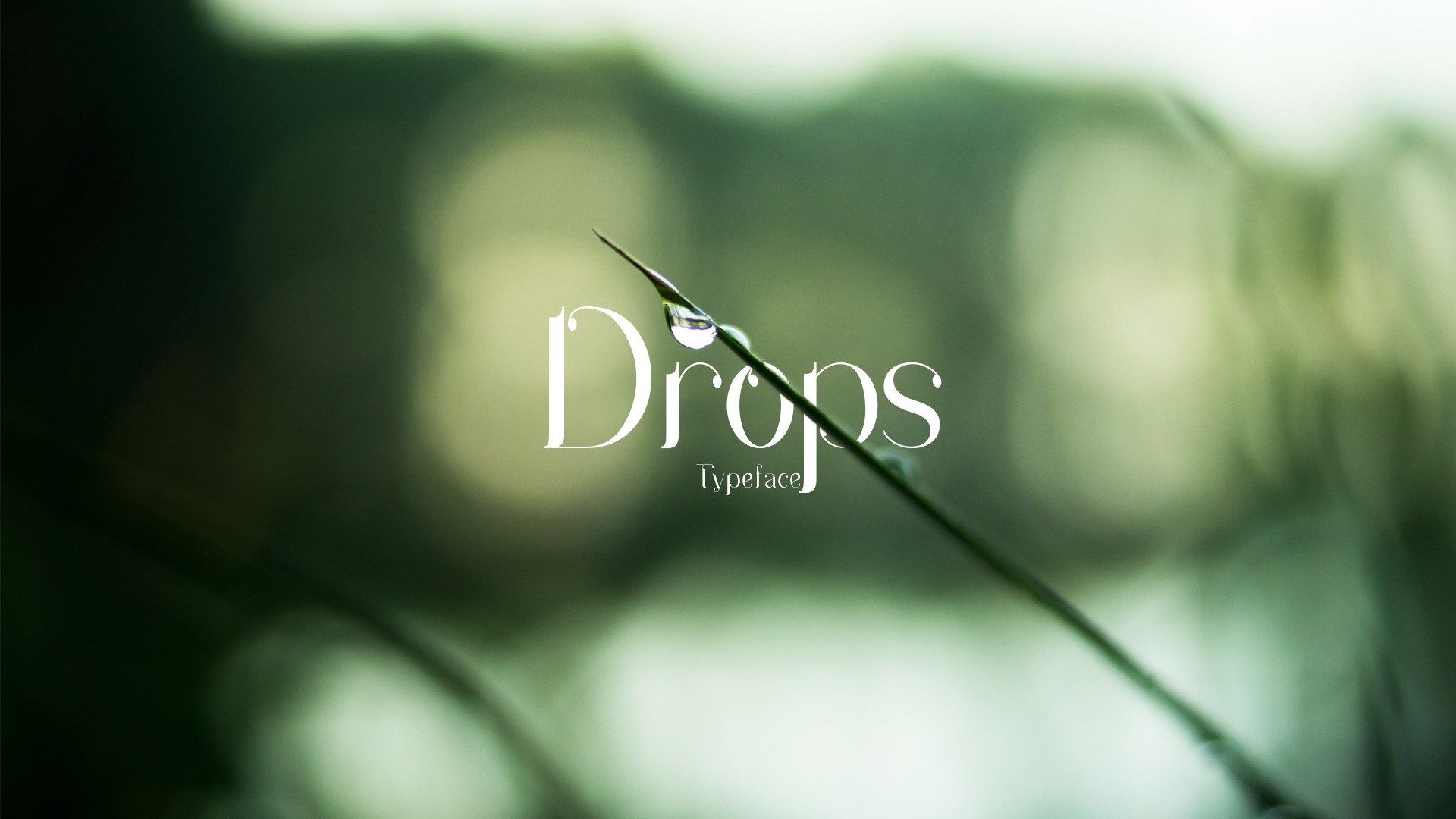 Font Drops