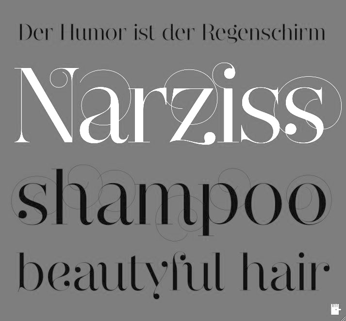 Font Narziss Pro