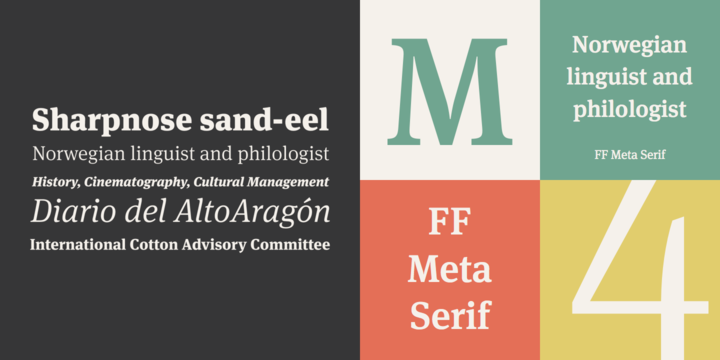 Font Meta Serif Pro