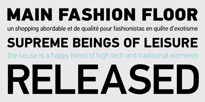 PF Din Text Universal