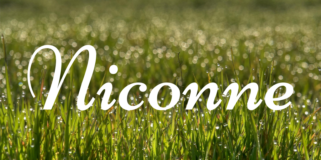 Font Niconne