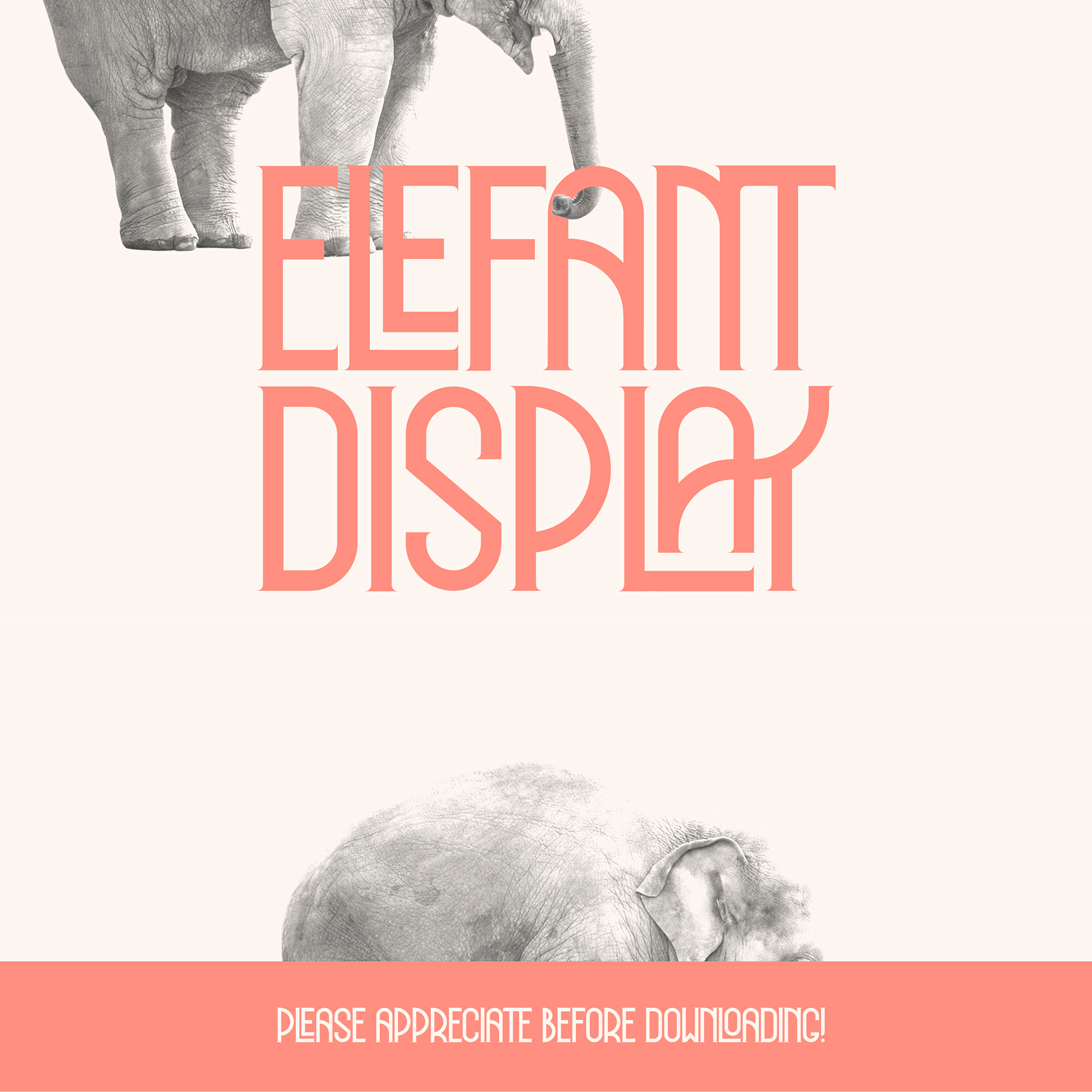 Elefant Display