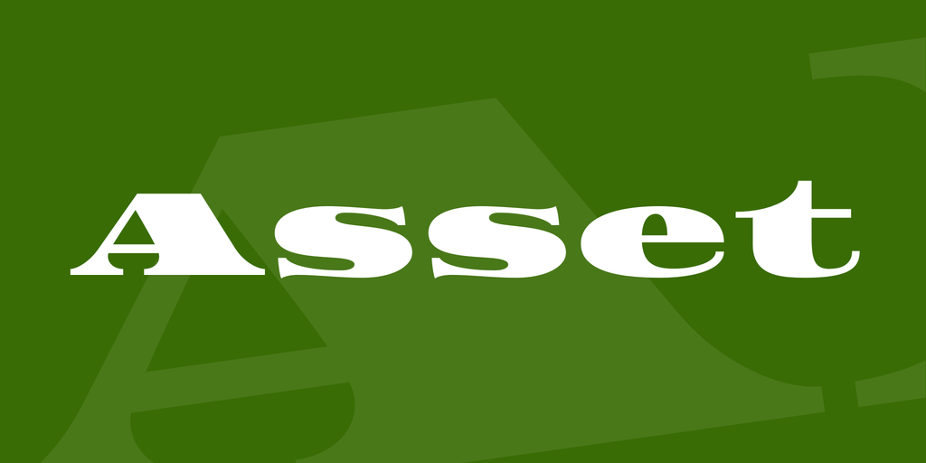 Asset