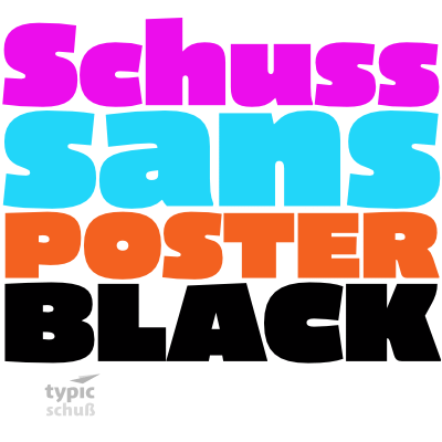 Font Schuss Sans CG Poster