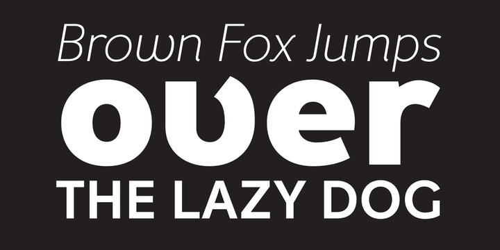 Fox Grotesque Pro