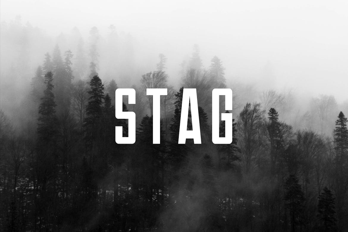 Stag