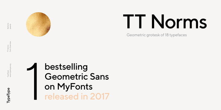 Font TT Norms Pro