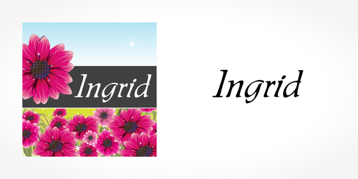 Font Ingrid