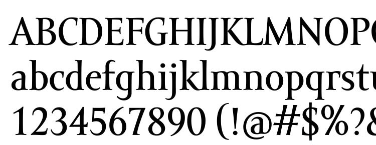 Amor Serif Text Pro