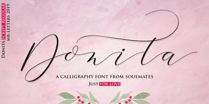 Font Donita