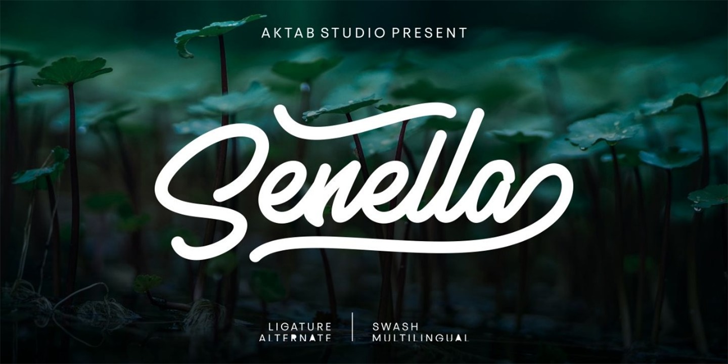 Font Senella Script