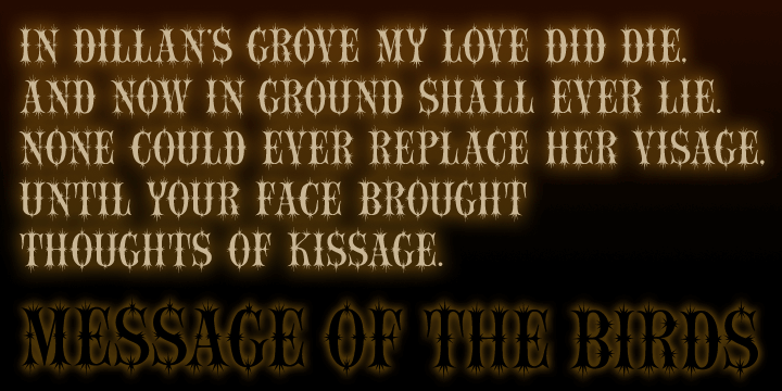 Message of the Birds