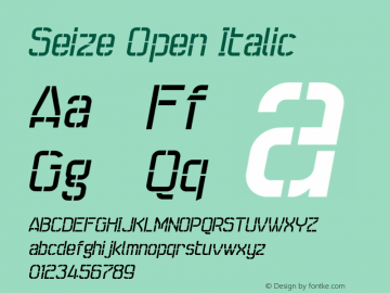 Font Seize