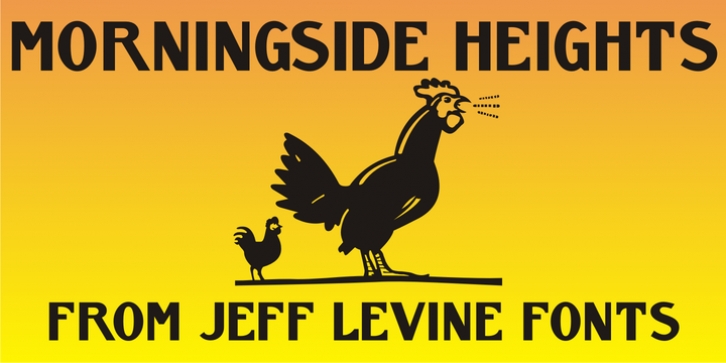 Font Morningside Heights JNL