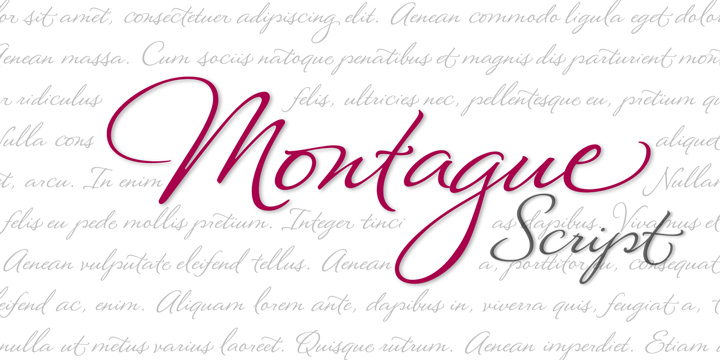 Font Montague Script