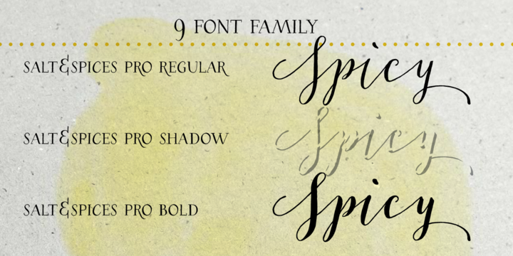 Font Salt & Spices Pro