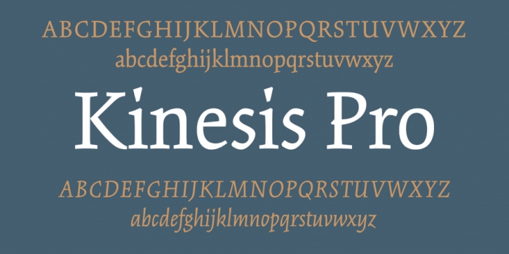Font Kinesis