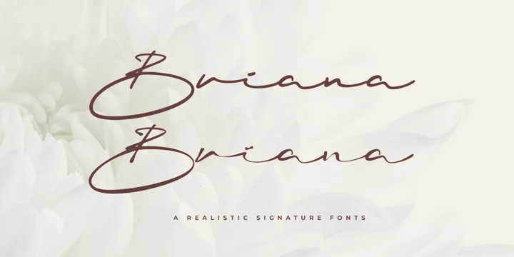 Font Briana