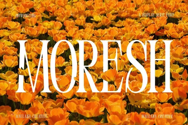 Font Moresh