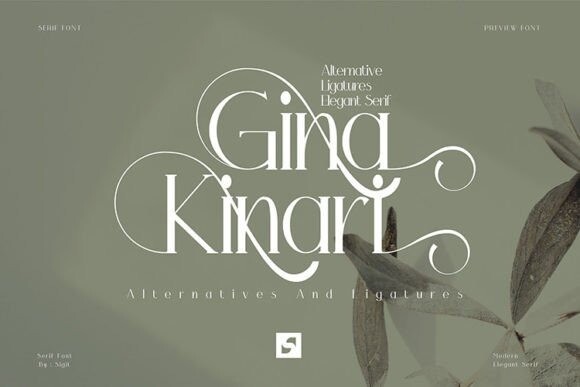 Font Gina Kinari