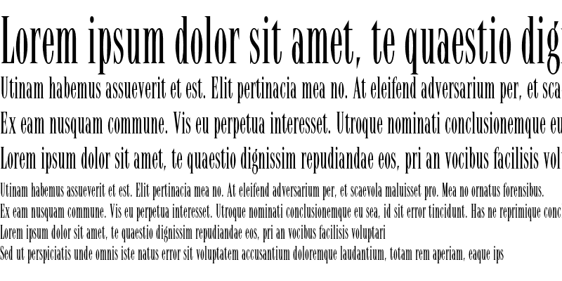 Font Latino Elongated