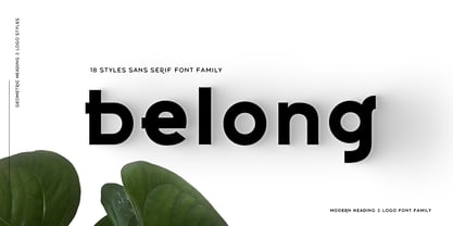 Font Belong Sans