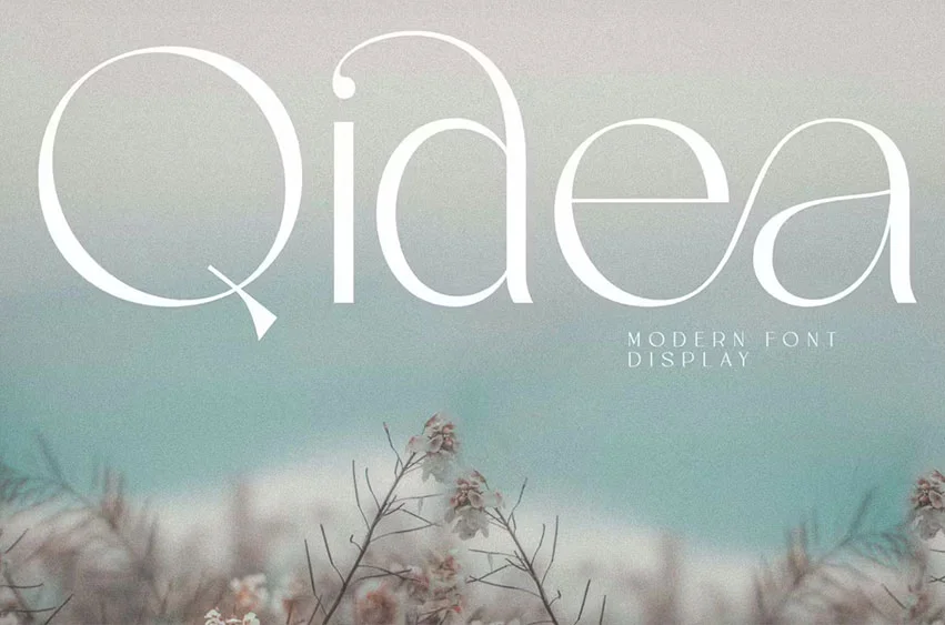 Qidea