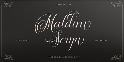 Font Maldini Script