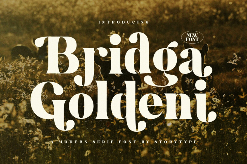 Font Bridga Goldeni
