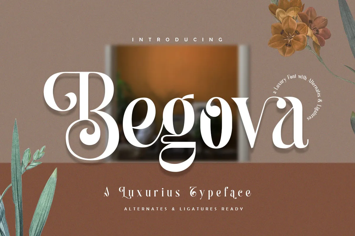 Font Begova