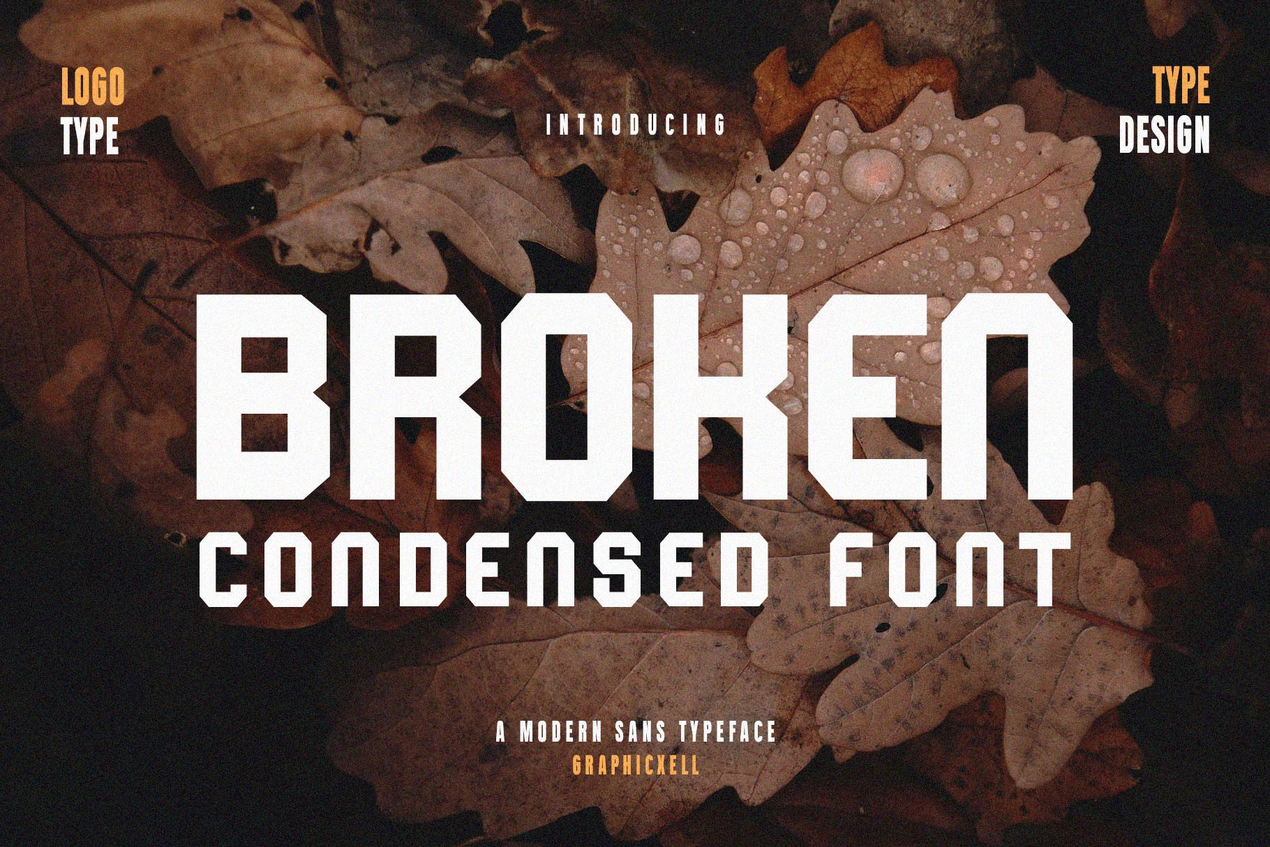 Font Broken