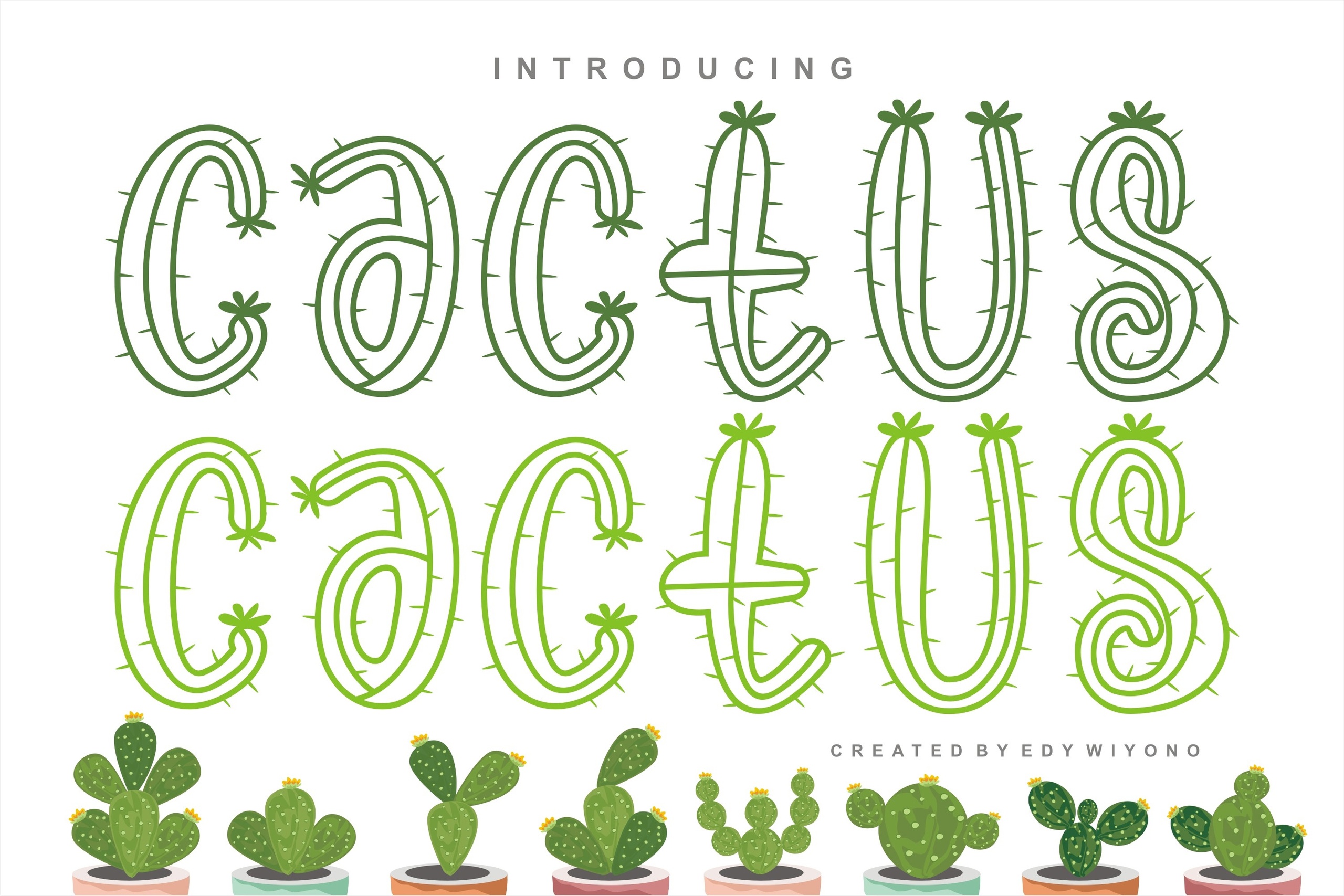 Cactus Plants