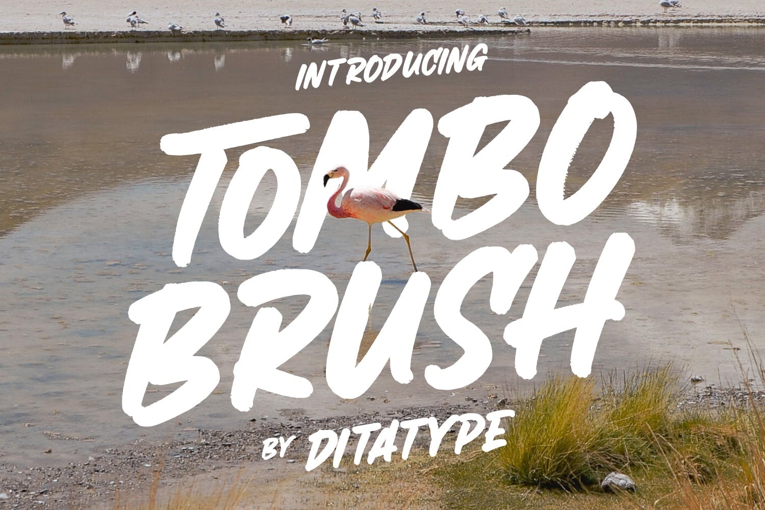 Font Tombo Brush