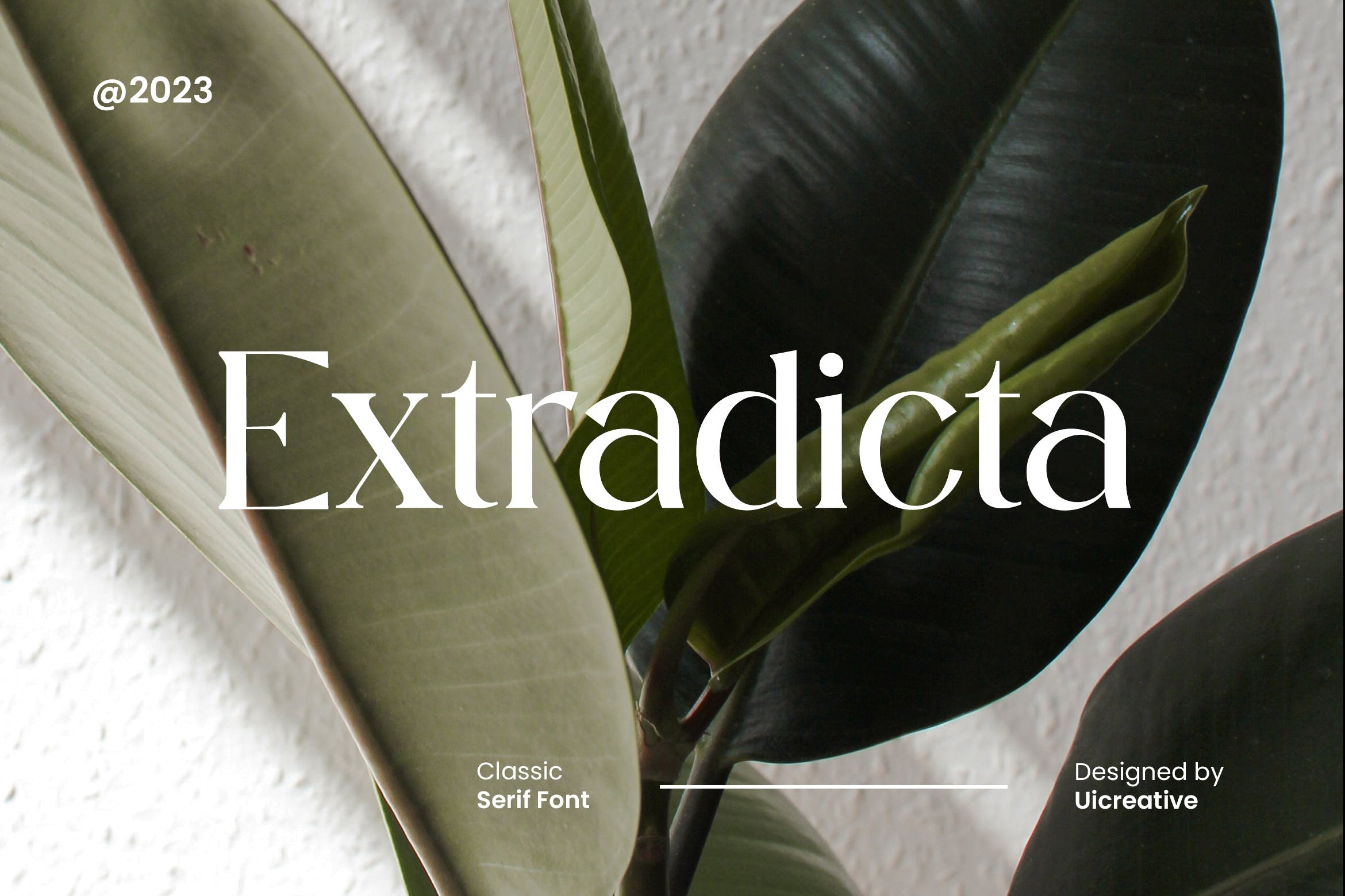 Font Extradicta