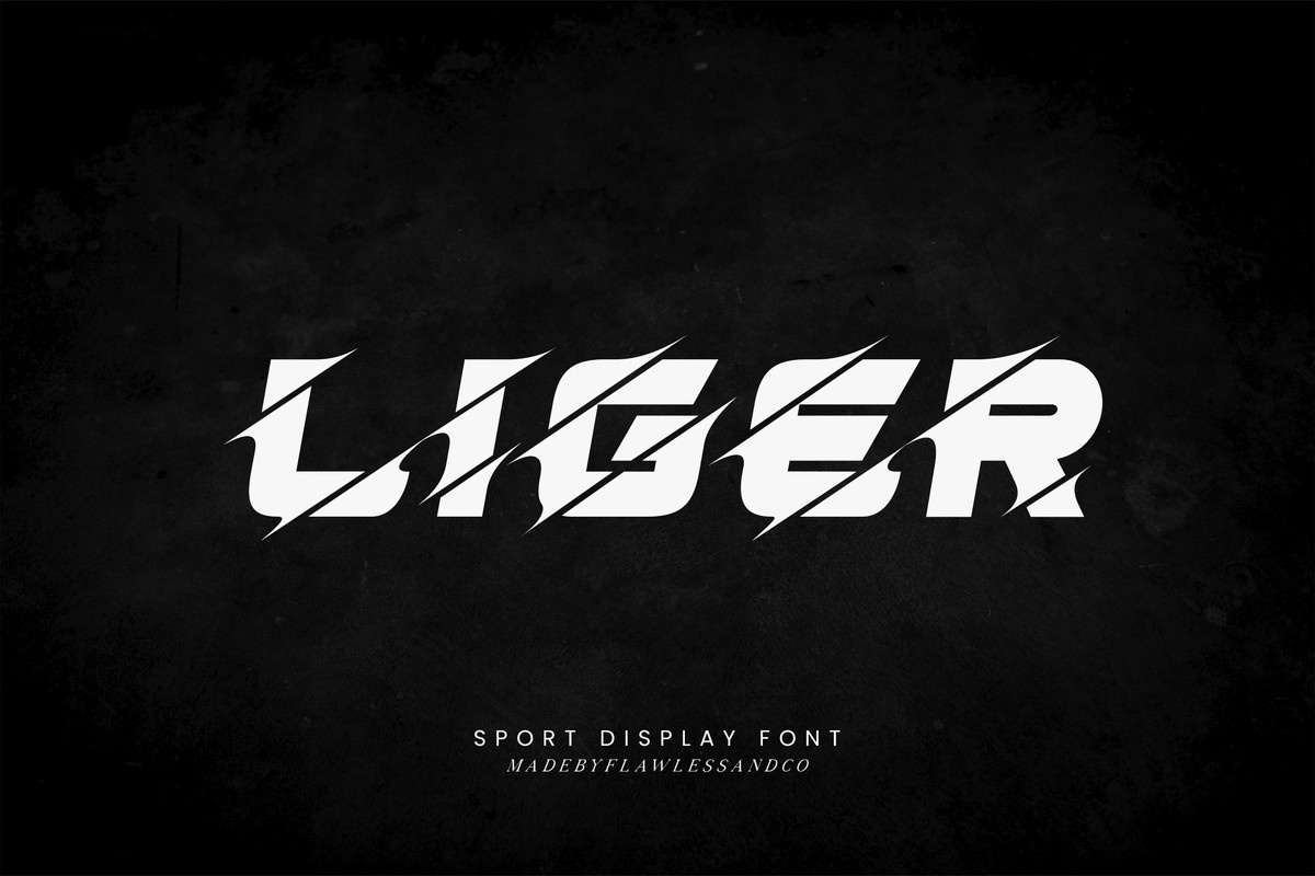Font Liger