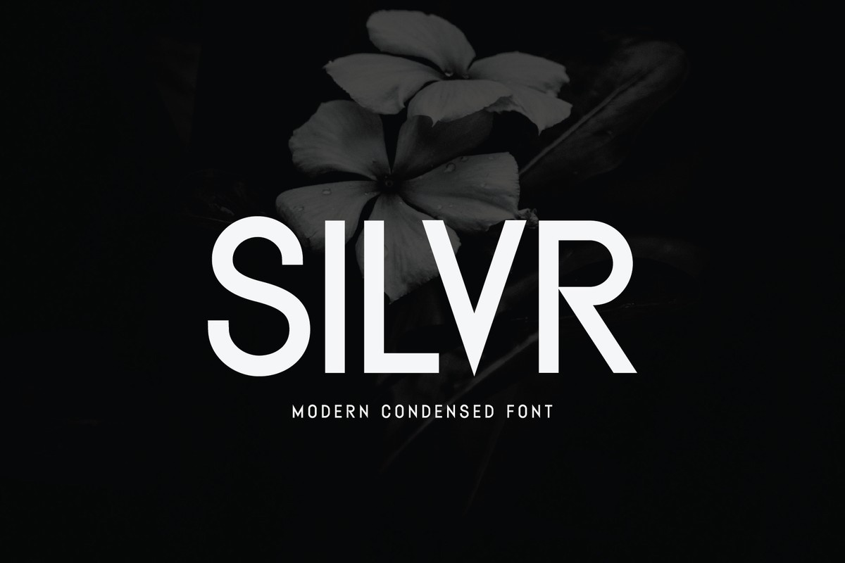 Font Silvr