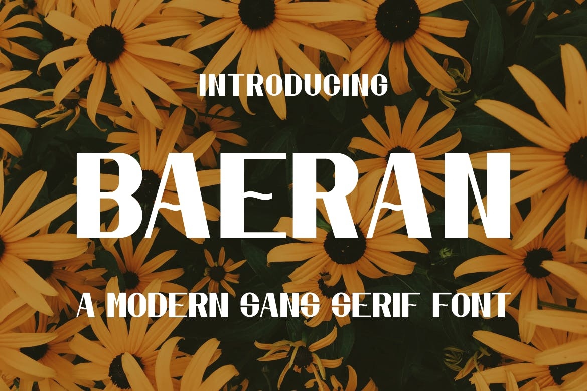 Font Baeran