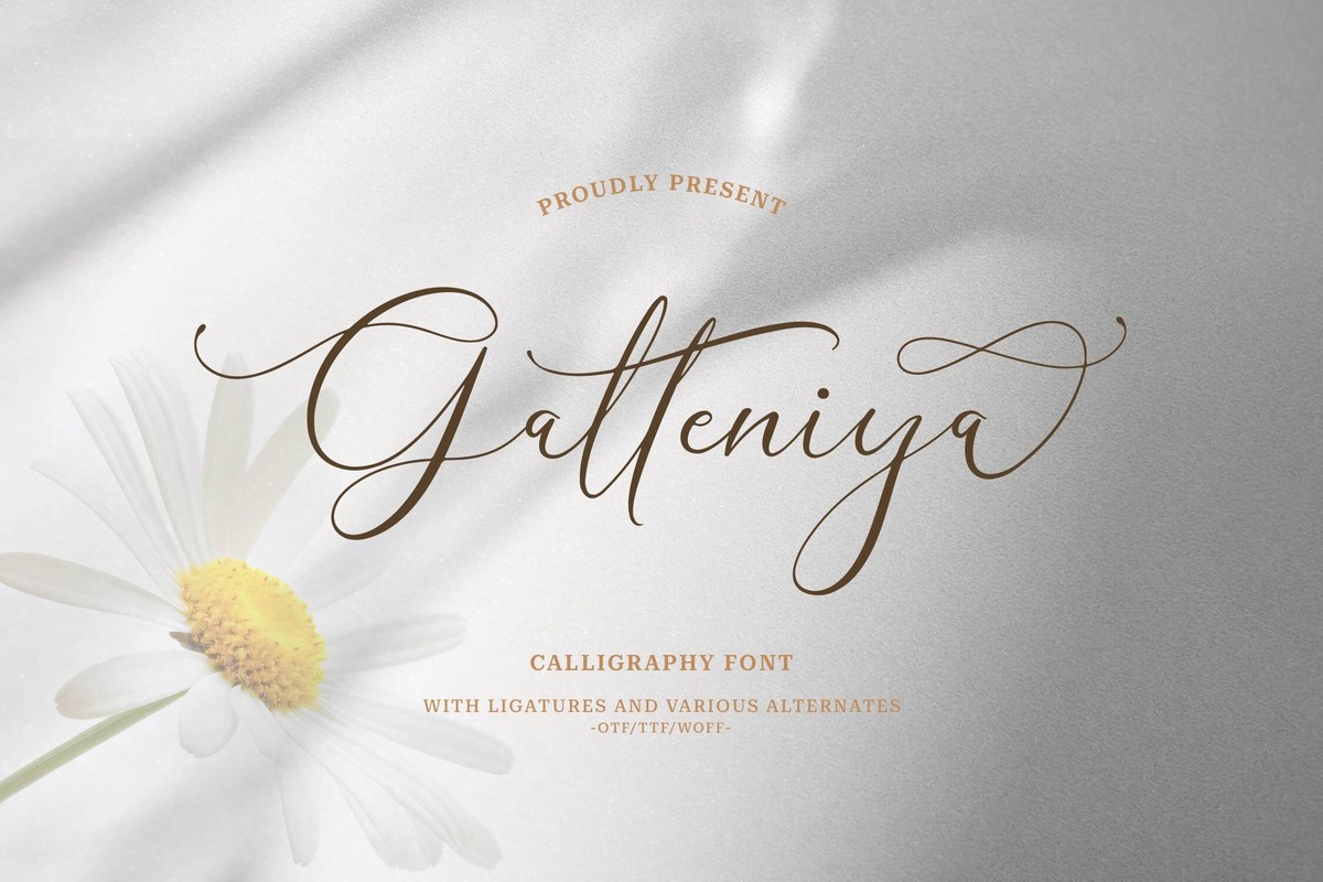 Font Galteniya