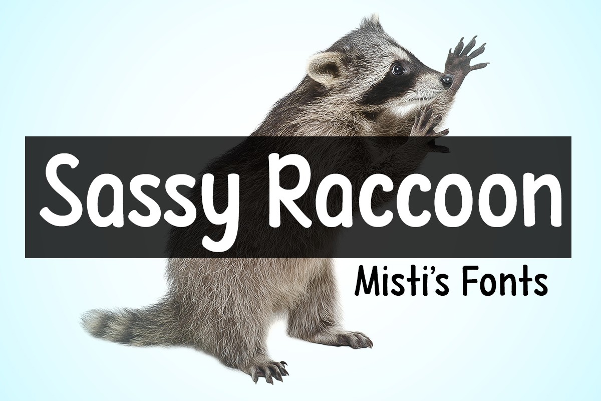 Font Sassy Raccoon