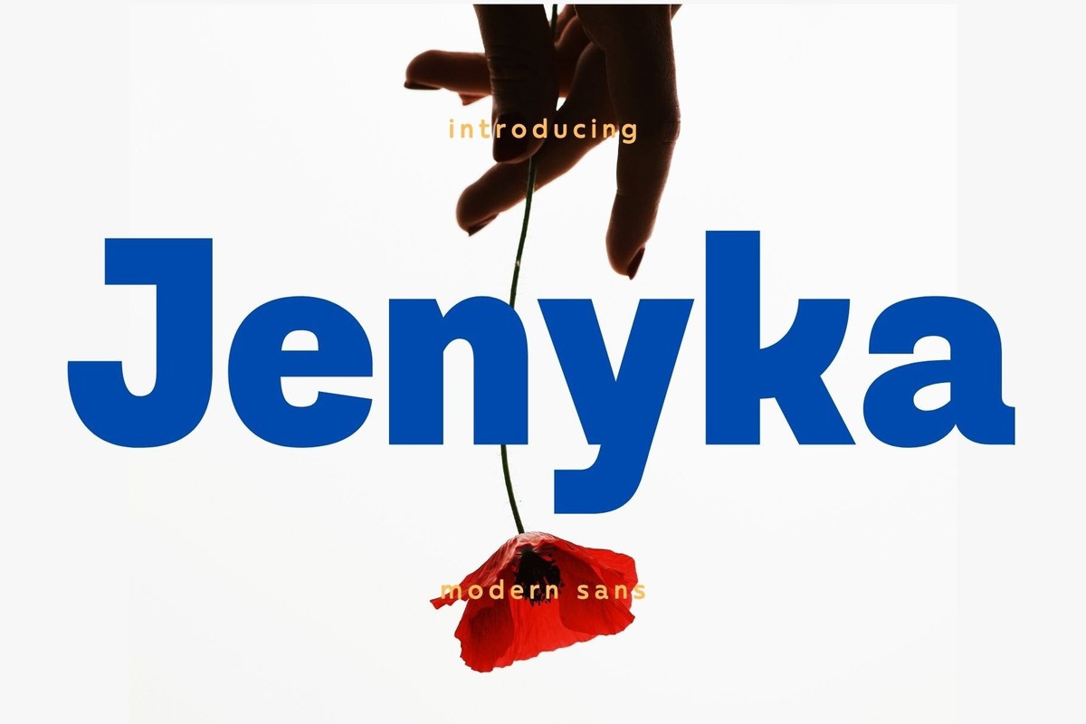 Font Jenyka