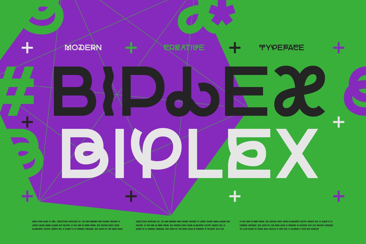 Font Biplex