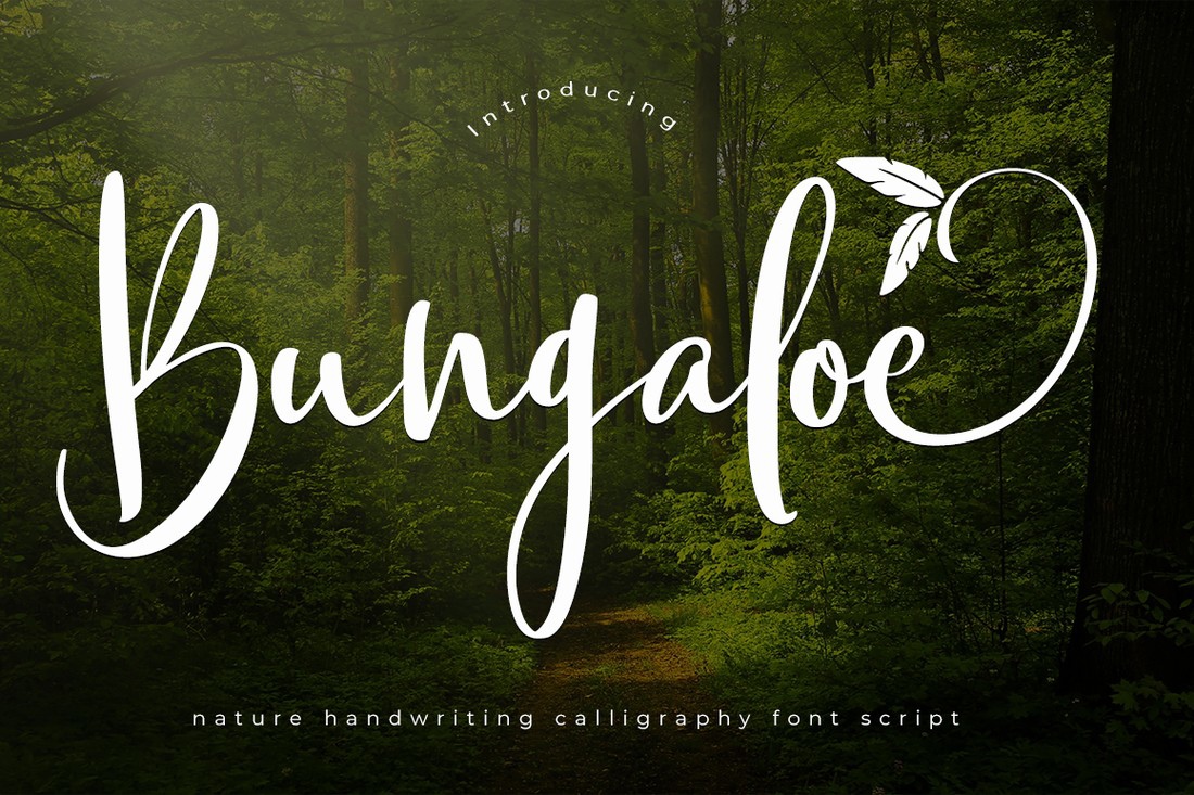 Font Bungaloe