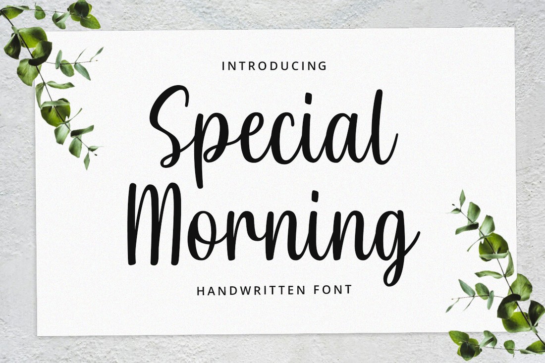Font Special Morning