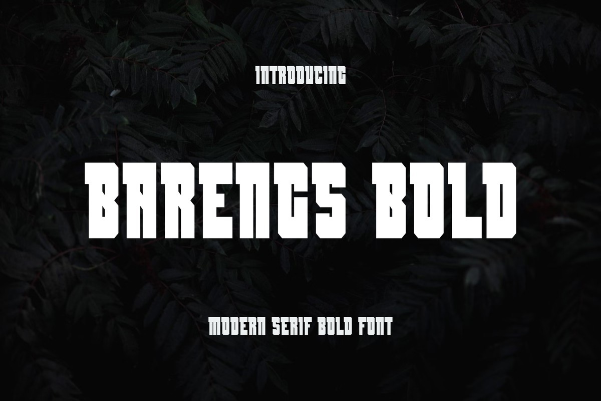 Font Barengs