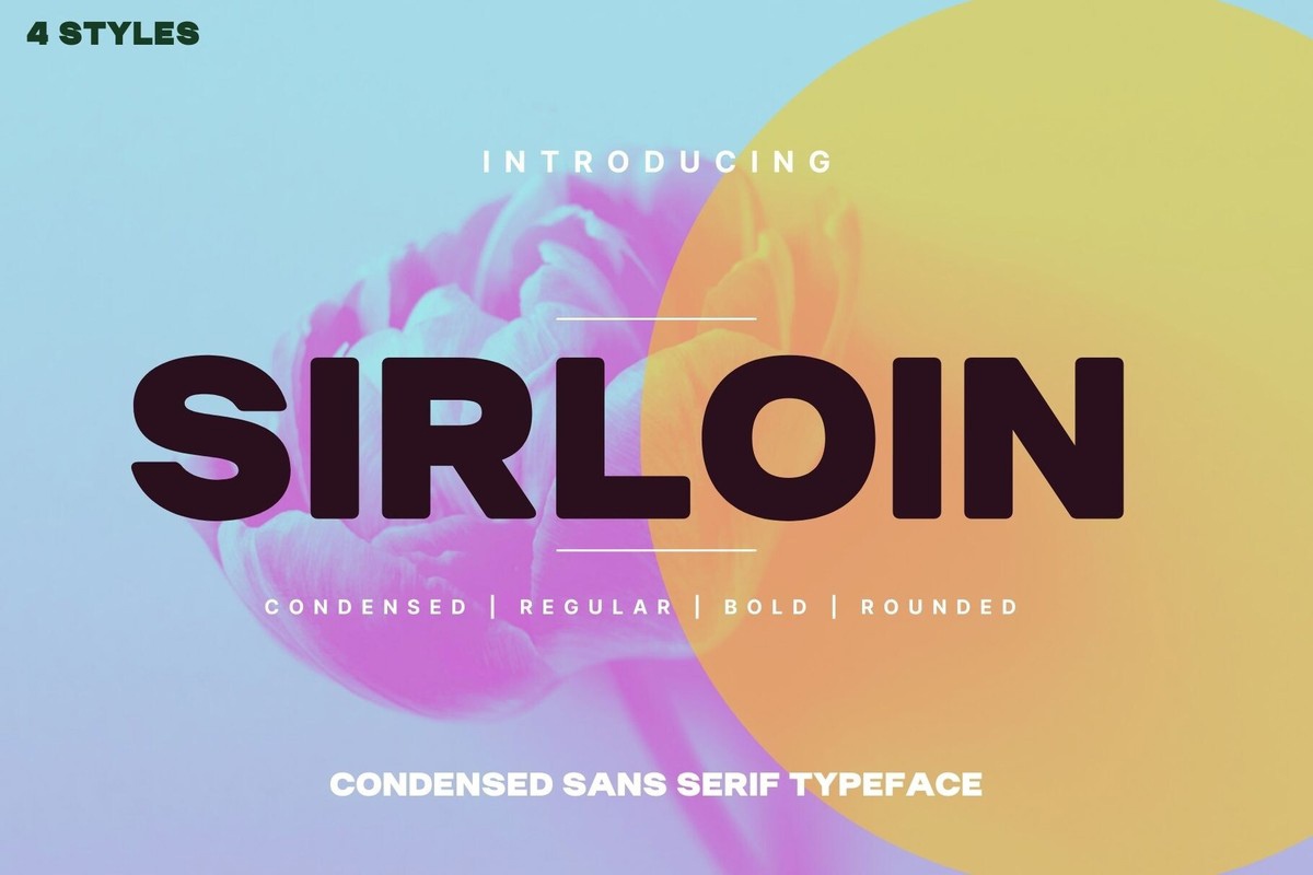Font Sirloin