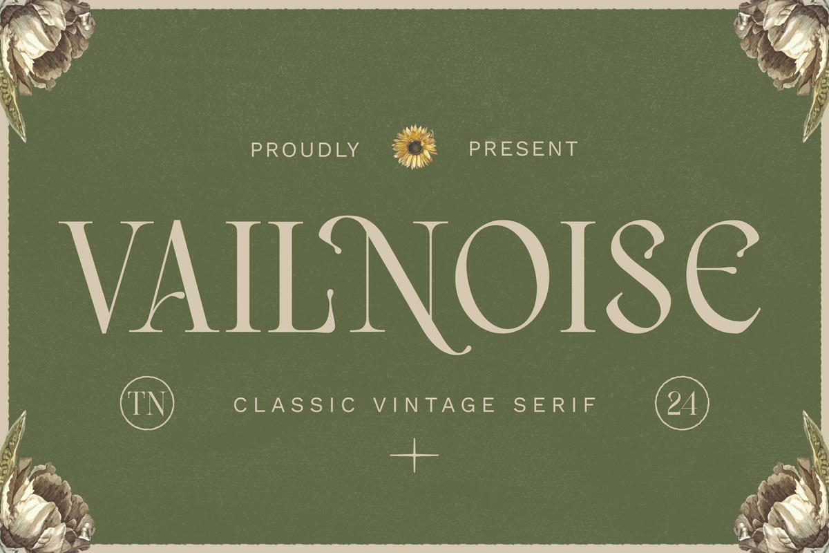 Font Vailnoise