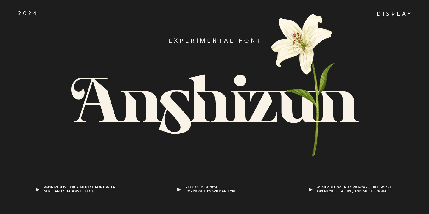 Font Anshizun