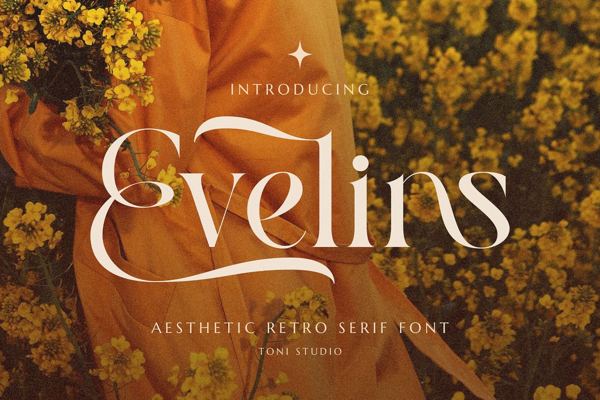 Font Evelins