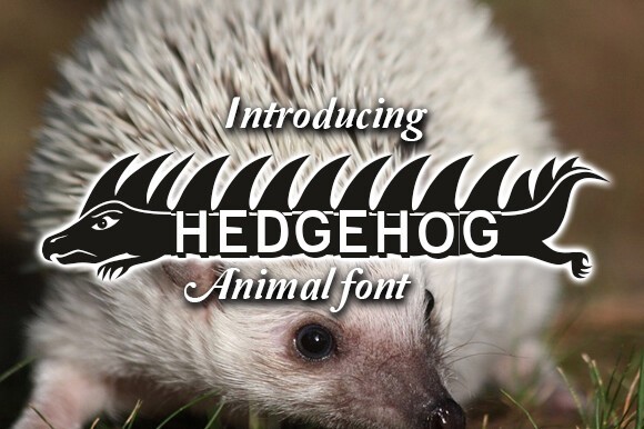 Font Hedgehog